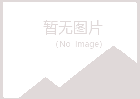 五大连池白山金属有限公司